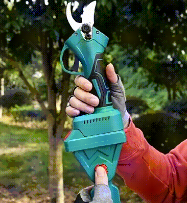 1688202376687805.gif